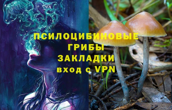 синтетический гашиш Переславль-Залесский