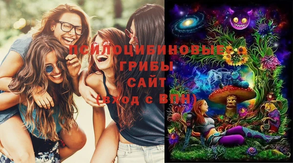 синтетический гашиш Переславль-Залесский