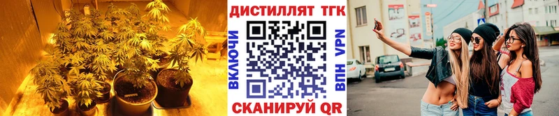 OMG   Полтавская  площадка состав  Дистиллят ТГК Wax 